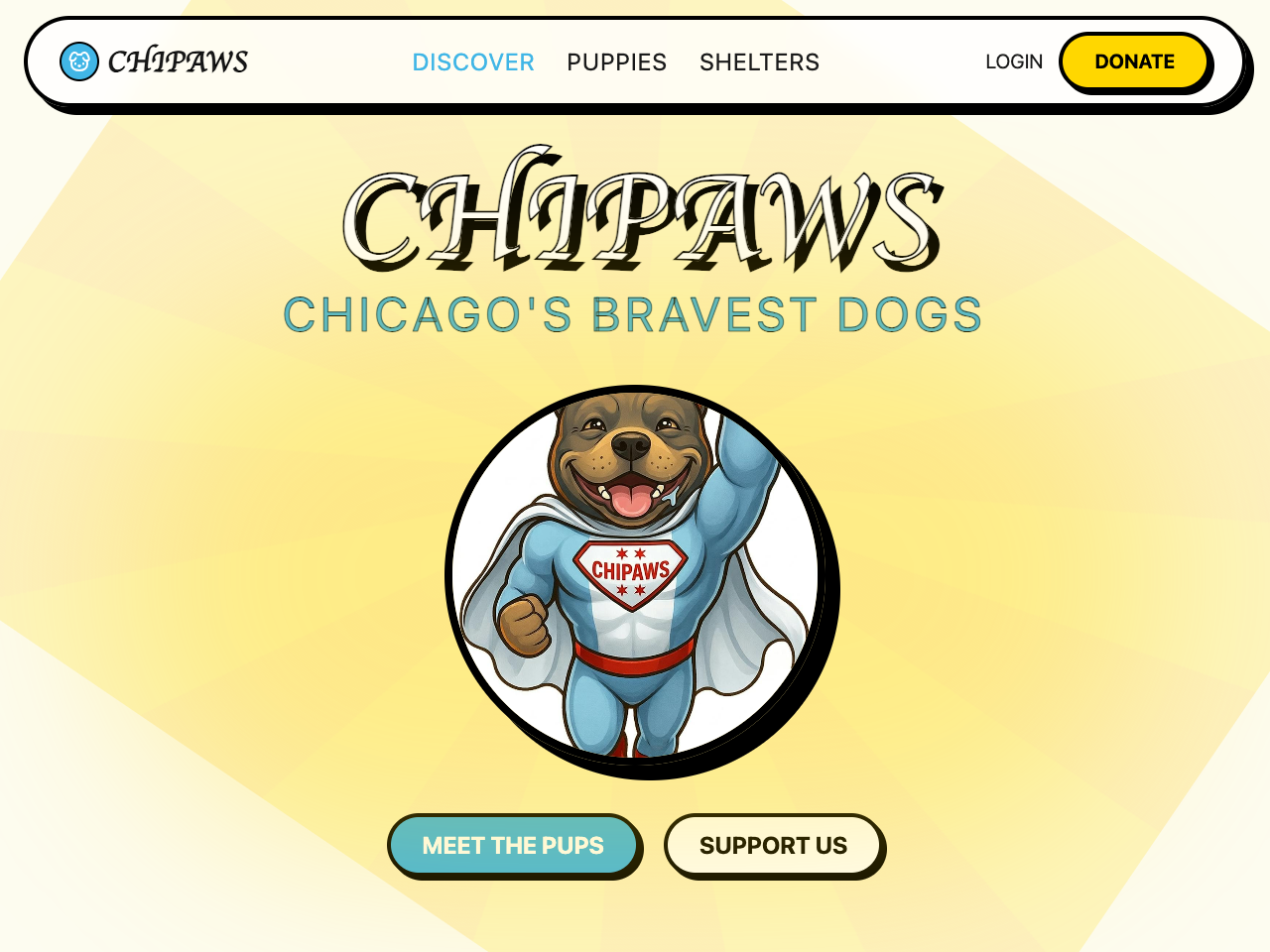 CHIPAWS